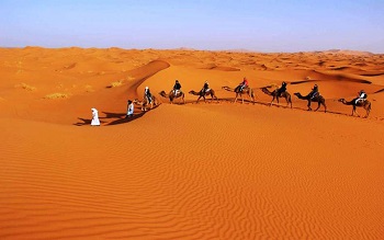 5 days Desert Trip from Marrakech to Fes